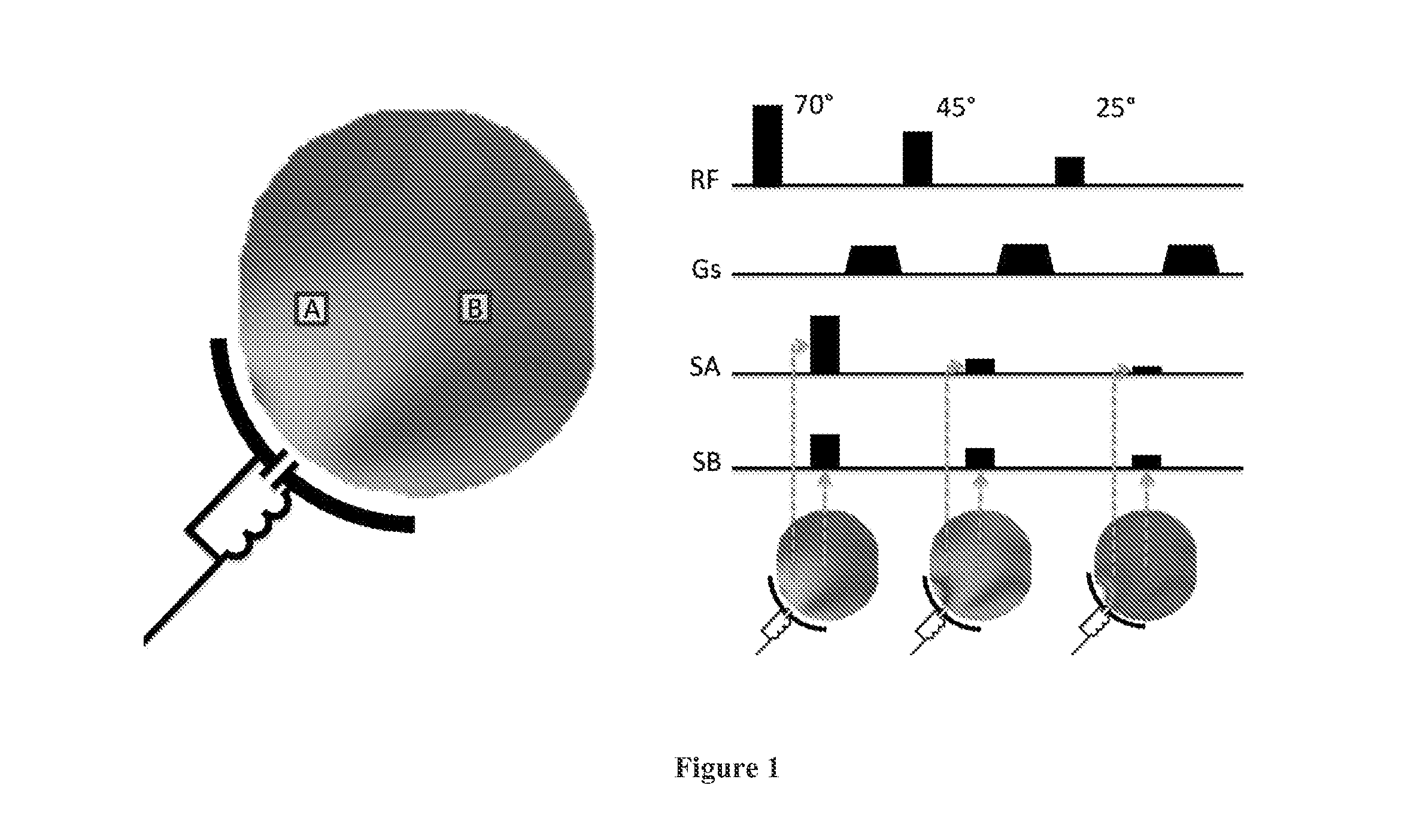 Parallel transmission by spin dynamic fingerprinting