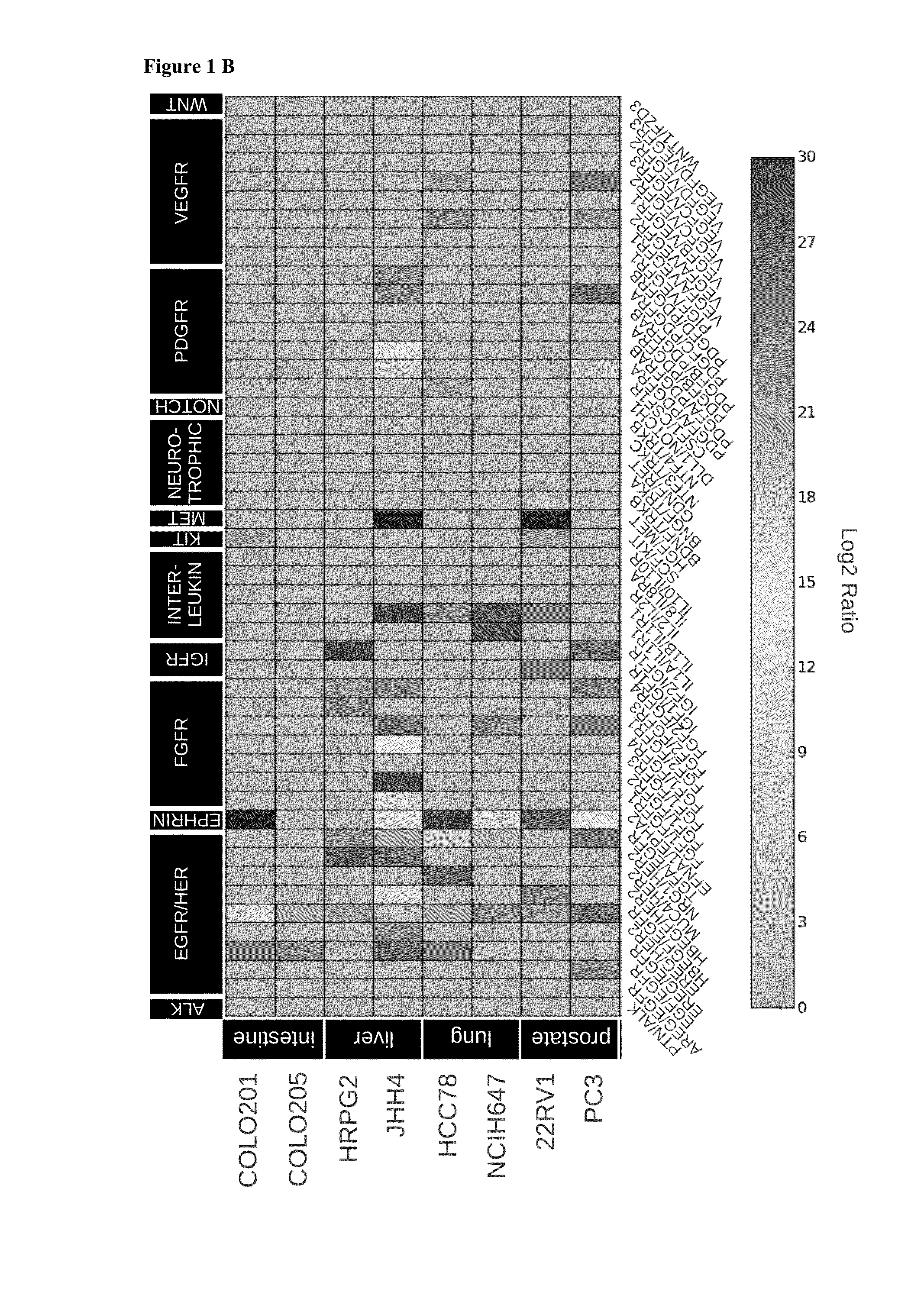 Computational Approach for Identifying a Combination of Two Drugs