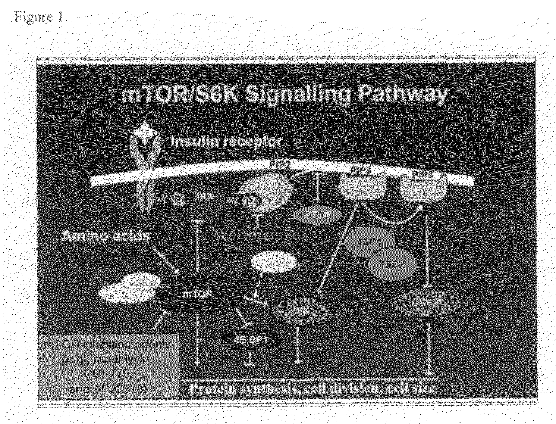 Compositions and methods for detecting, preventing and treating seizures and seizure related disorders