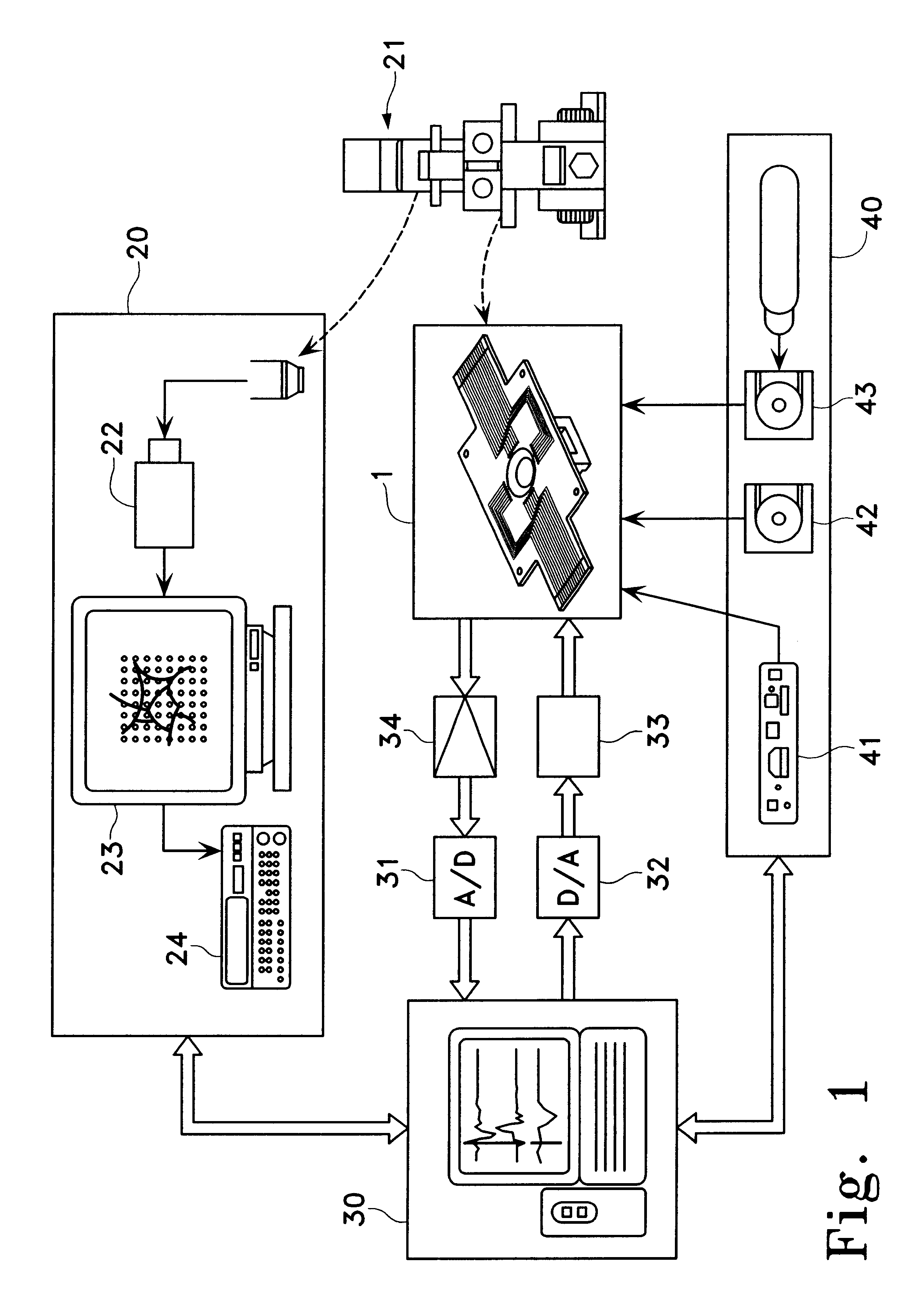 Cell potential measuring electrode and measuring apparatus using the same