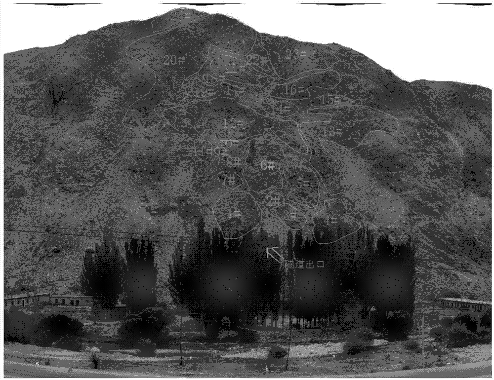 Panoramic-image-based dangerous falling rock surveying method