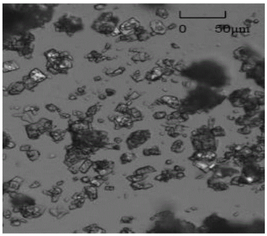 A method for crystallization of coenzyme q10 assisted by ultrasonic waves