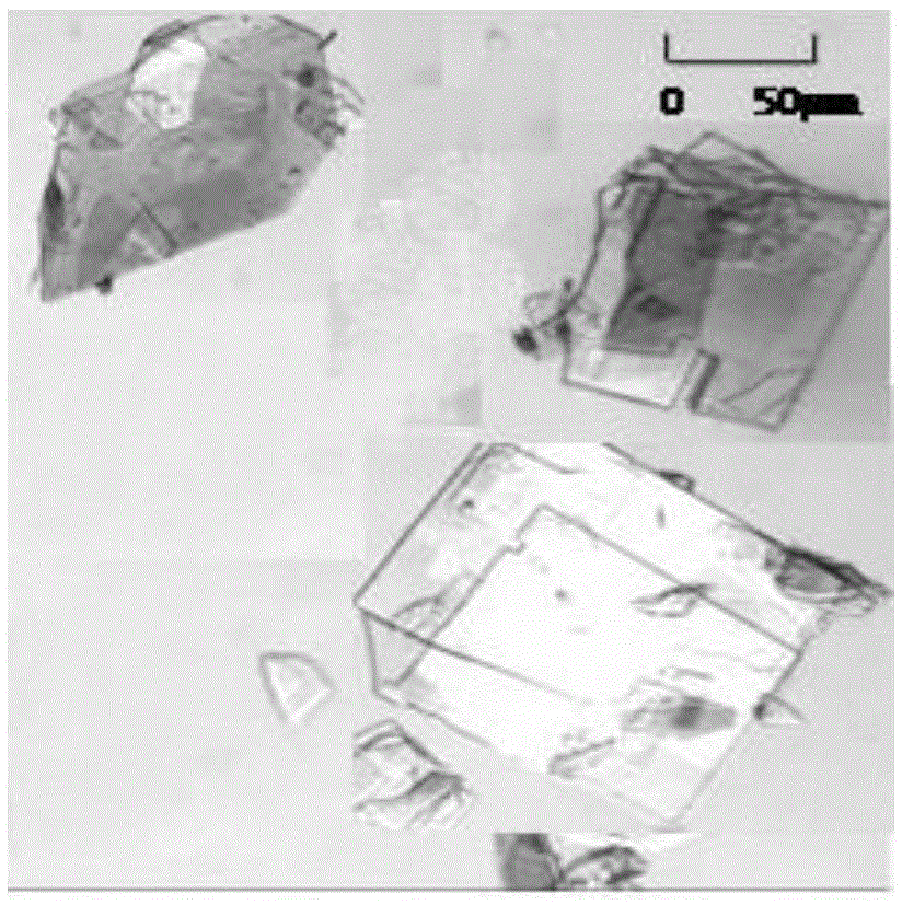 A method for crystallization of coenzyme q10 assisted by ultrasonic waves