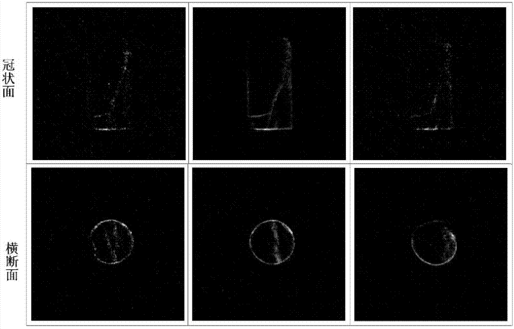 Nuclear magnetic resonance imaging observing device and method in coal rock crack development process