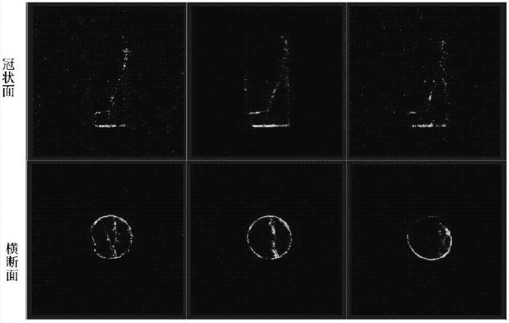 Nuclear magnetic resonance imaging observing device and method in coal rock crack development process