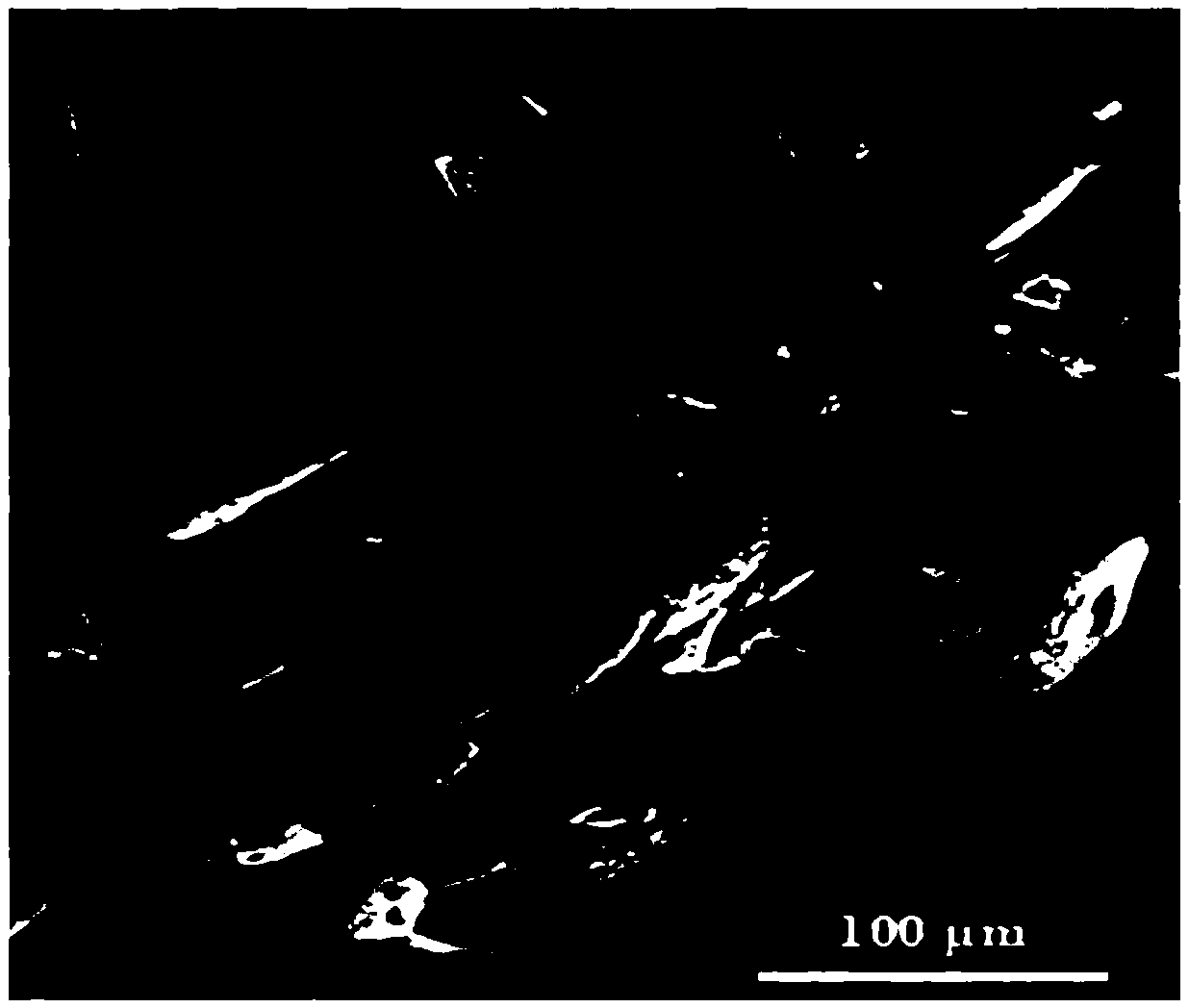 Butterfly-shaped SnO2 two-dimensional nanometer material, and preparation method and application thereof