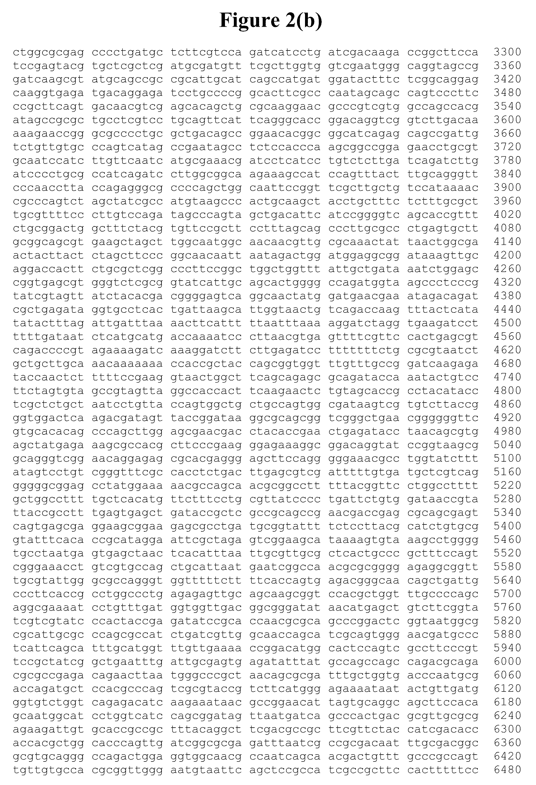 Genetically stable plasmid expressing PDH and FDH enzymes