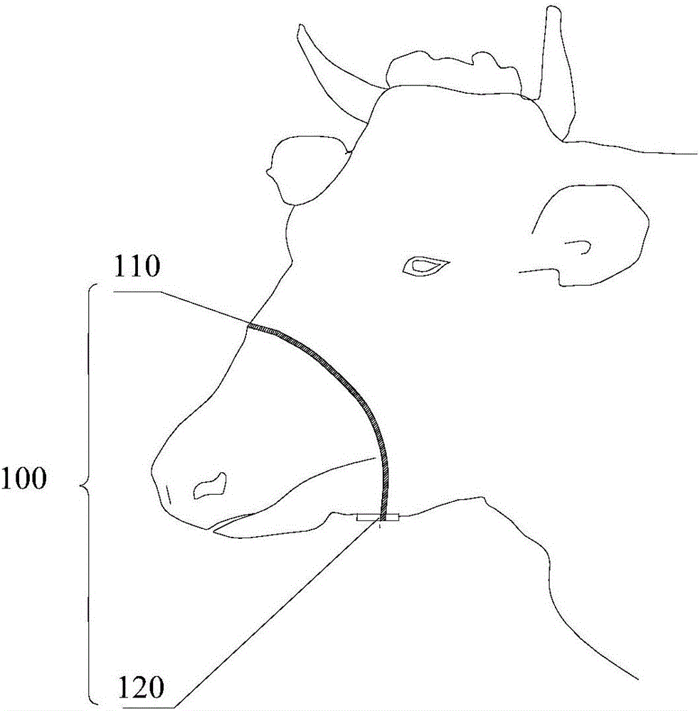 Animal rumination monitoring method and device