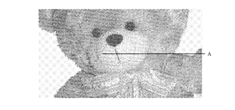 Locked reticulate pattern UV (ultraviolet) printing method