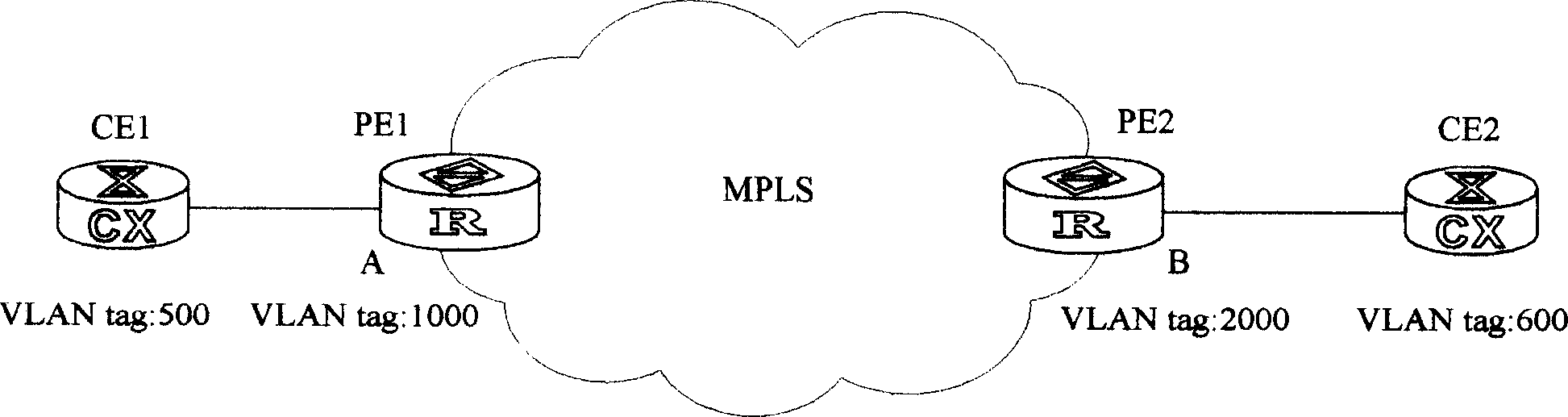 Method and system of user access virtual special LAN service