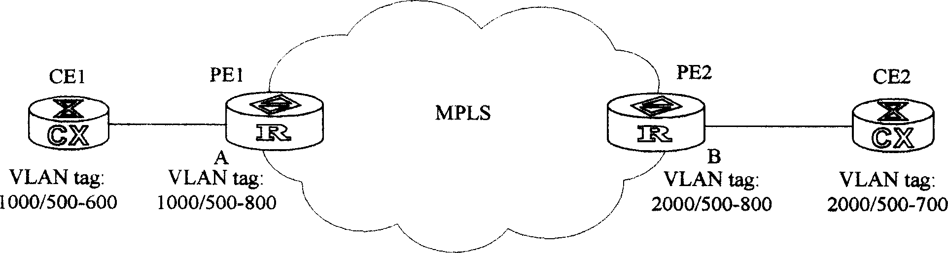 Method and system of user access virtual special LAN service