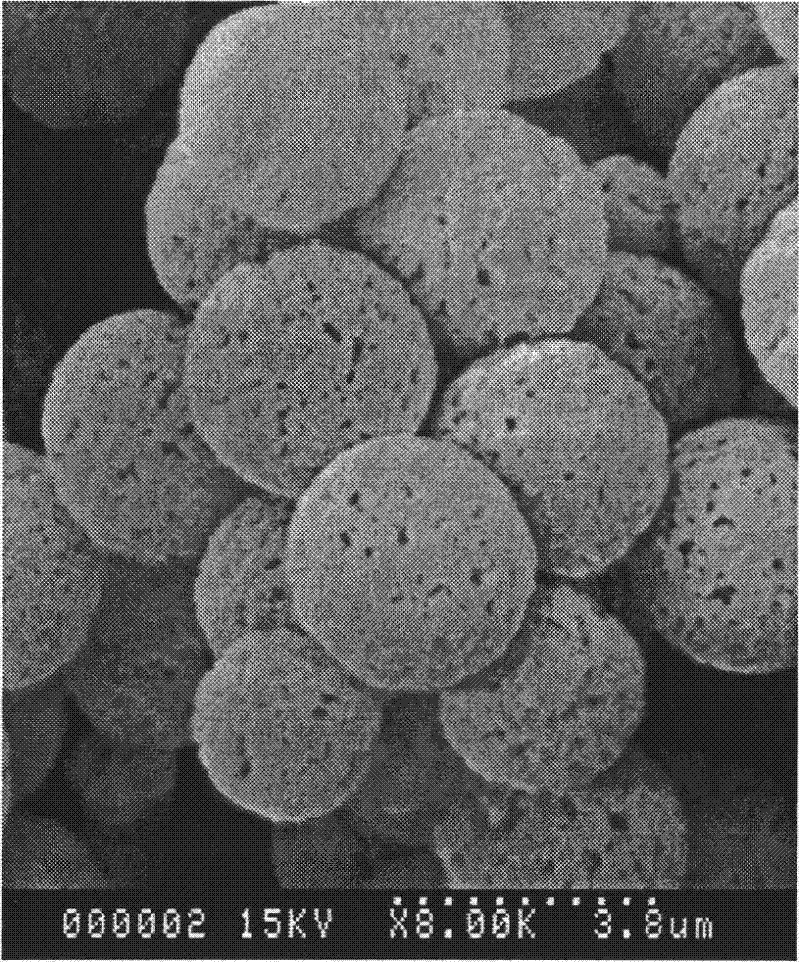 Method for extracting genistein from plant nepeta japonica maxim