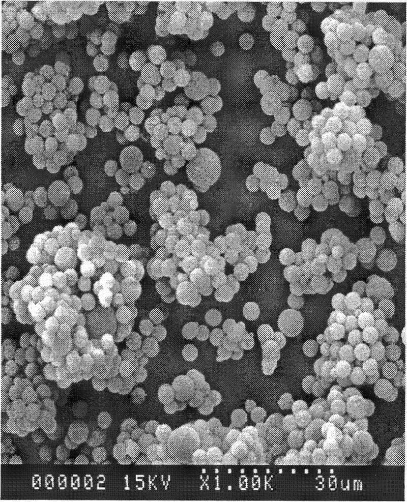 Method for extracting genistein from plant nepeta japonica maxim