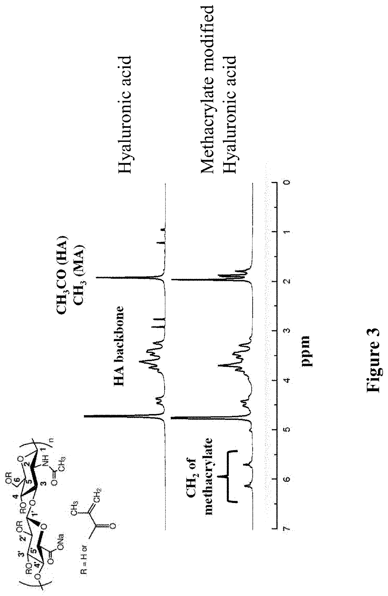 Gradient Coatings of Biopeptides That Promote Endothelial Cells Selective Adhesion and Directional Migration and Methods of Using the Same