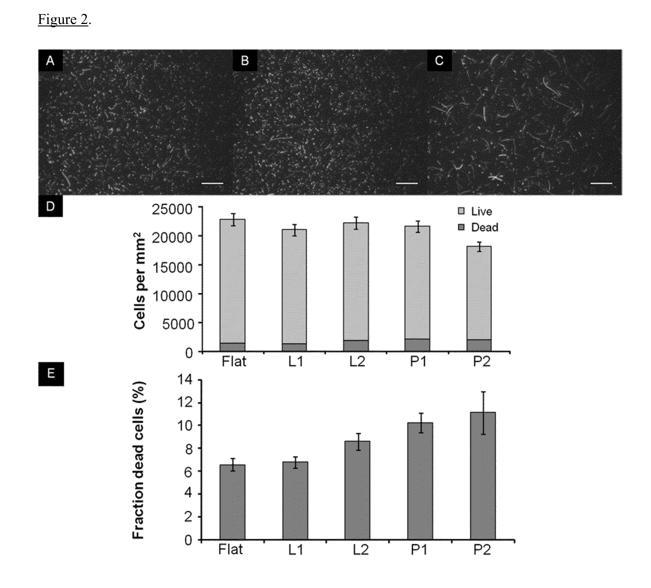 Bactericidal surface patterns