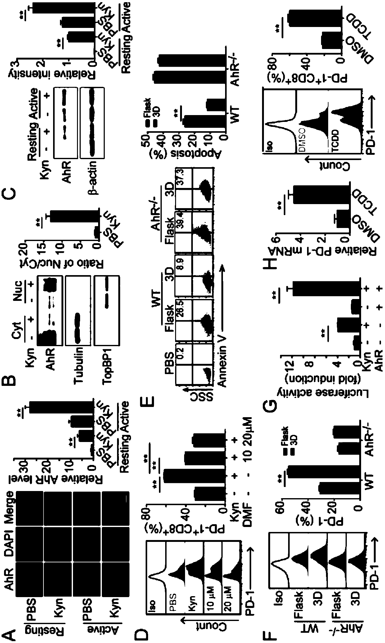 Application of reagent for detecting Kyn content