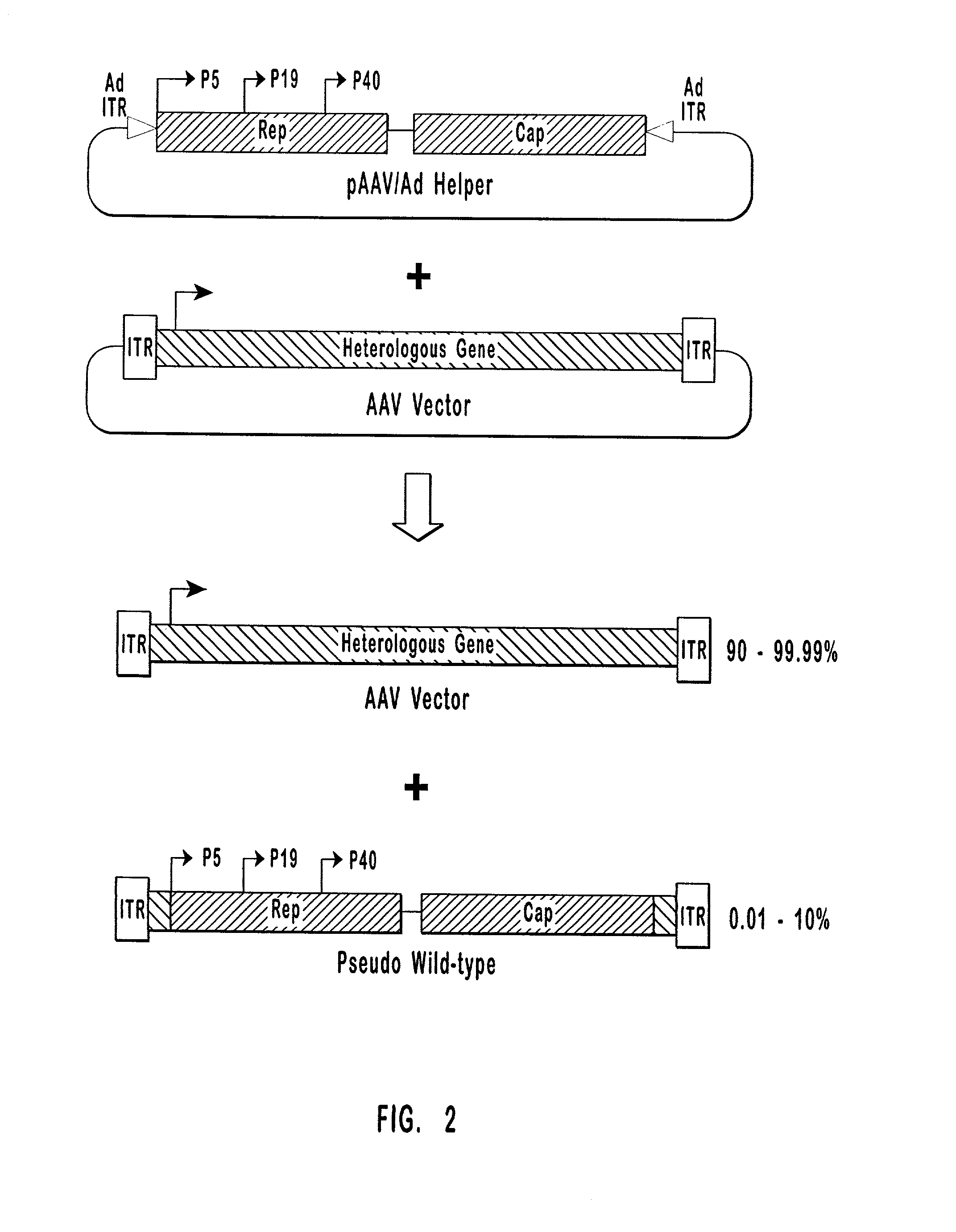 High-efficiency wild-type-free AAV helper functions