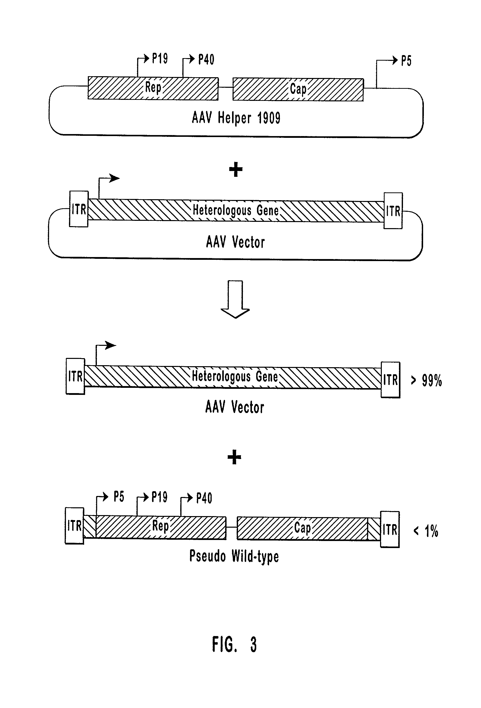 High-efficiency wild-type-free AAV helper functions