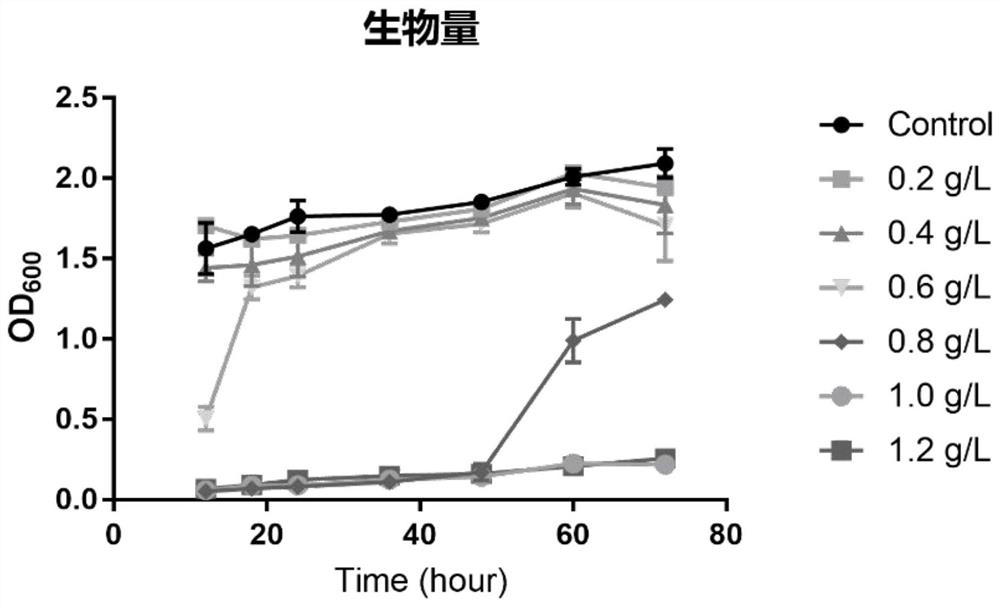 Furfural-tolerant actinobacillus succinogenes GXAS-137FM as well as breeding method and application thereof