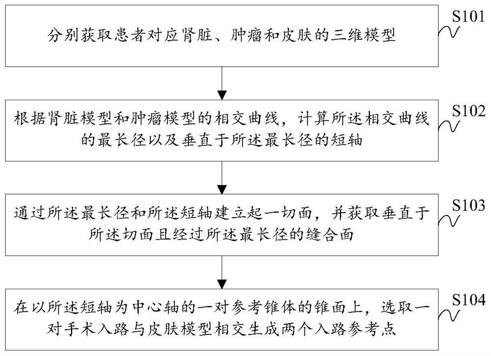 Simulation method and system for assisting determination of renal surgical approach