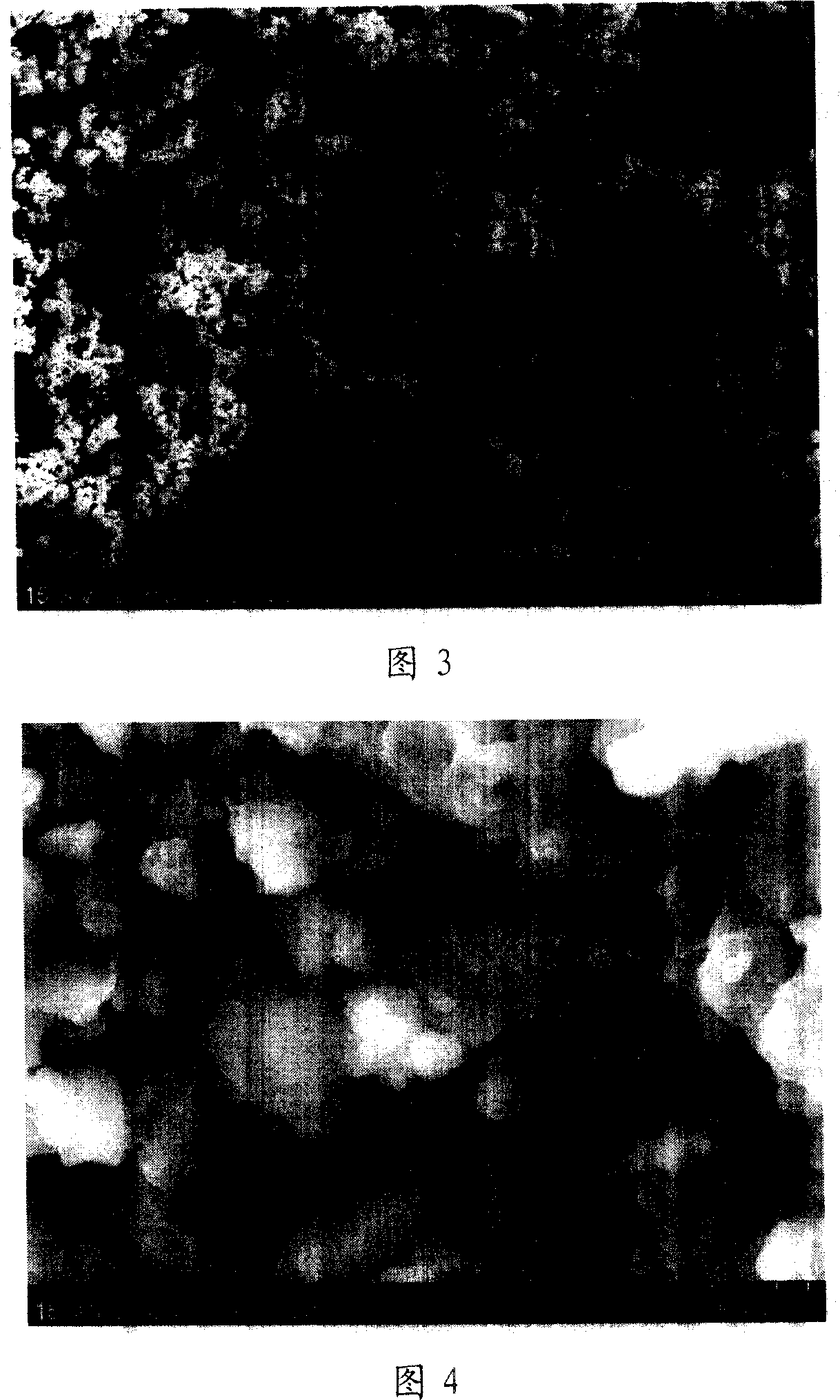 Catalyst of hydrolytic perparing hydrogen by boron hydride and its preparation method