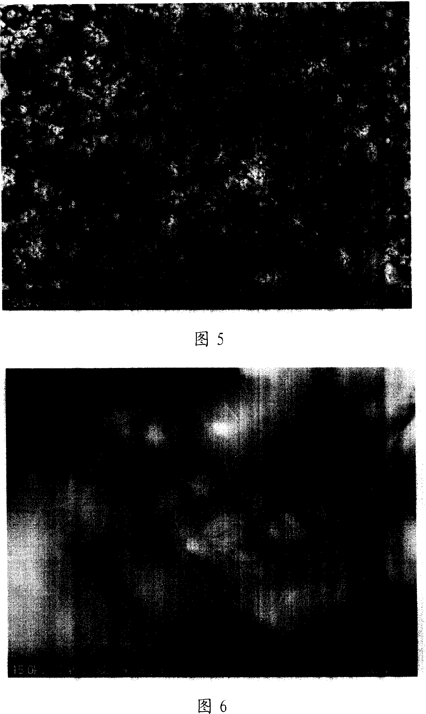 Catalyst of hydrolytic perparing hydrogen by boron hydride and its preparation method