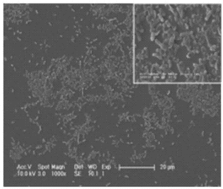 Method for preparing antibacterial surface on medical high polymer material surface