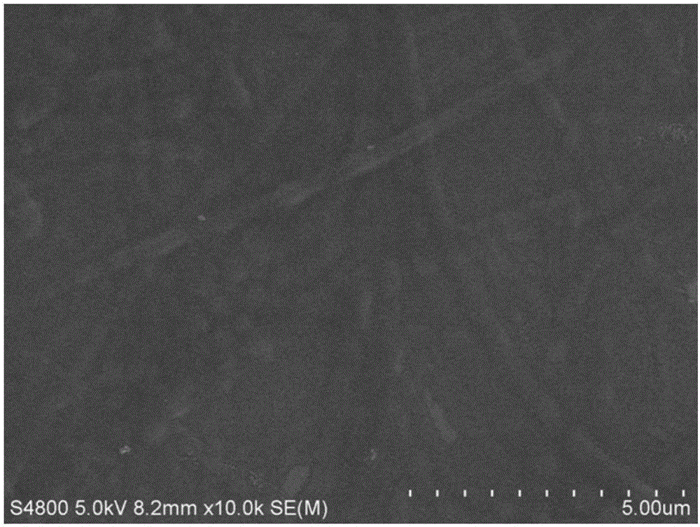 Calcium fluoride collagen micro-fiber composite and preparation method thereof