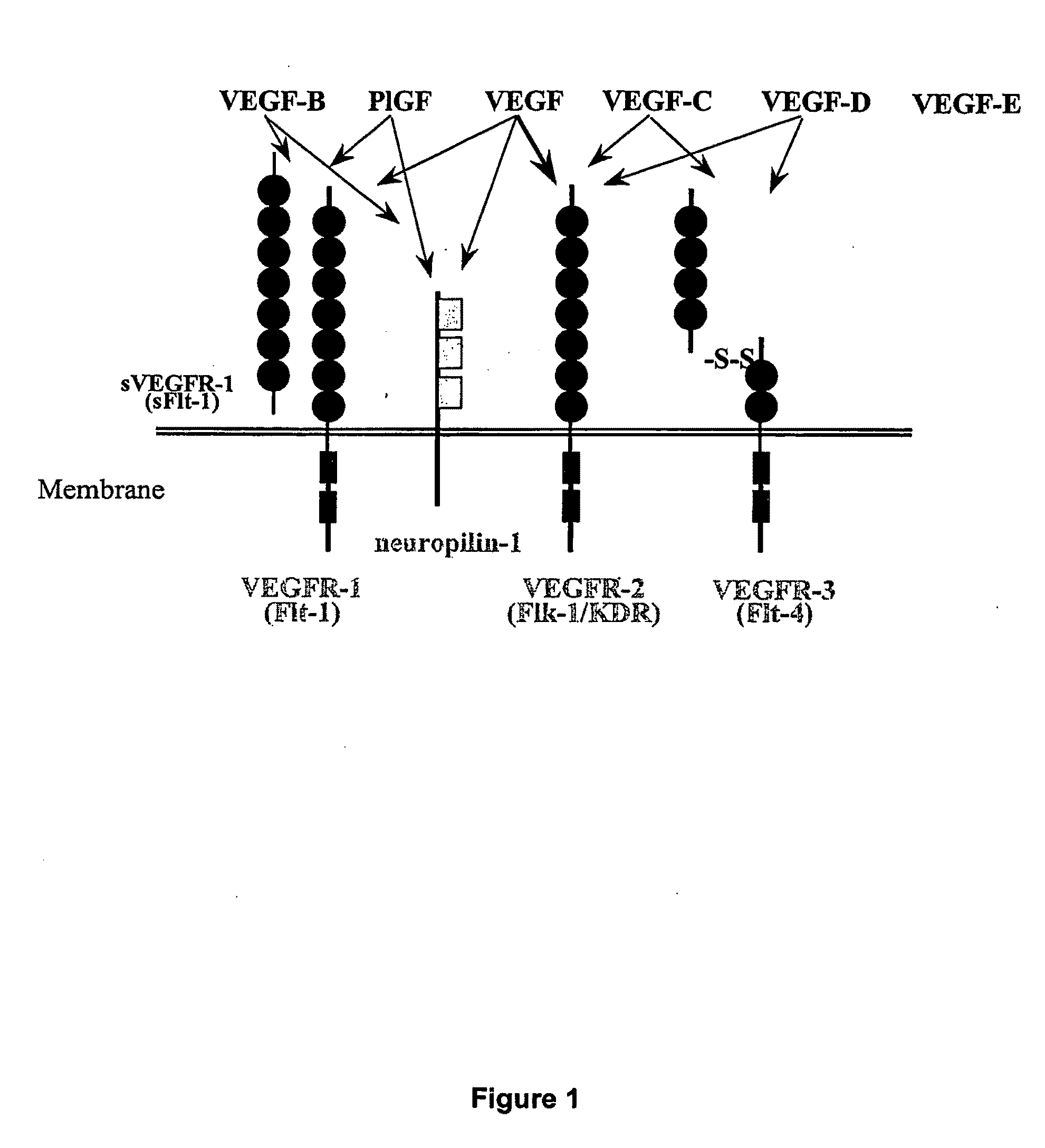 Methods of Diagnosing and Treating an Inflammatory Response