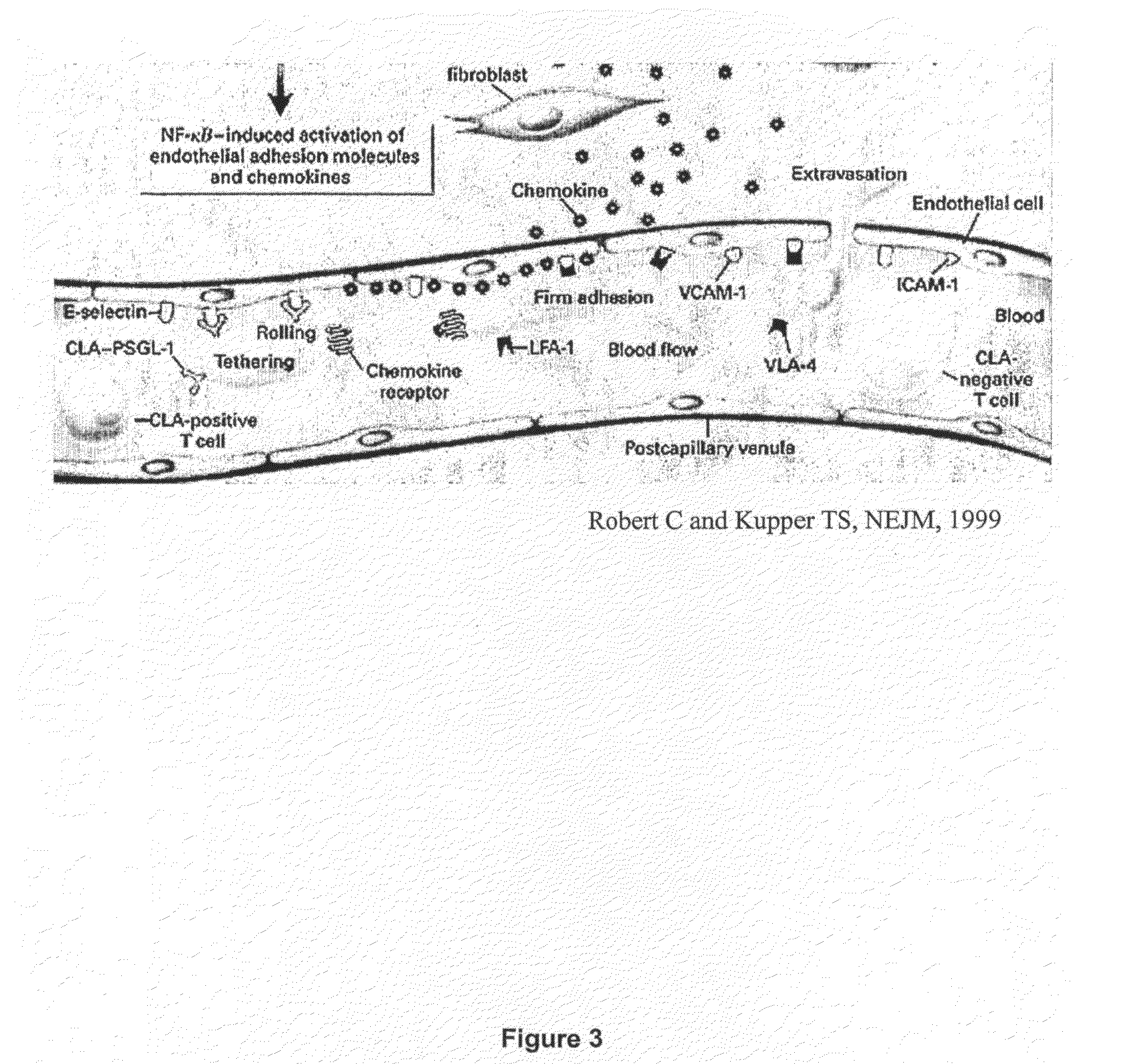 Methods of Diagnosing and Treating an Inflammatory Response