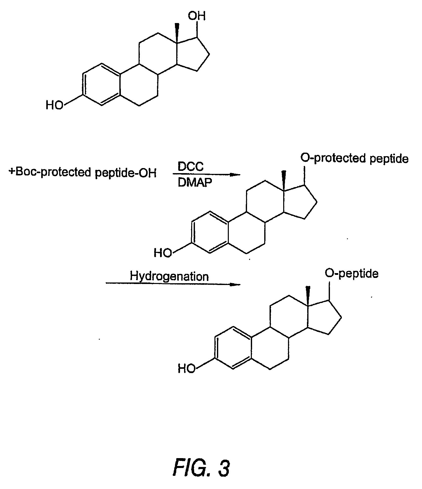 Biologically active peptide conjugates