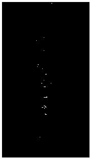 Method for evaluating blood-brain barrier permeability of nano-drug