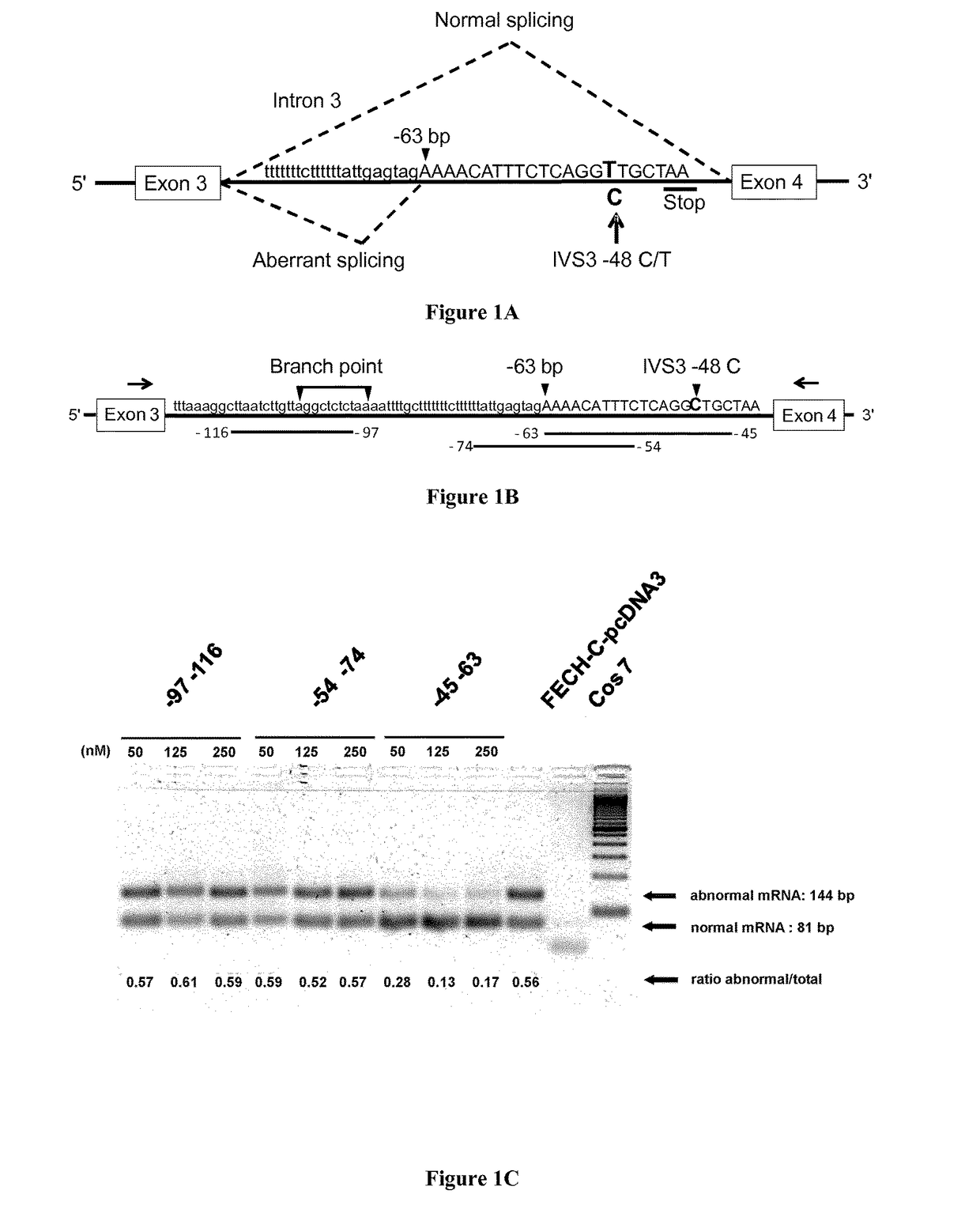 Methods and pharmaceutical compositions for the treatment of erythropoietic protoporphyria