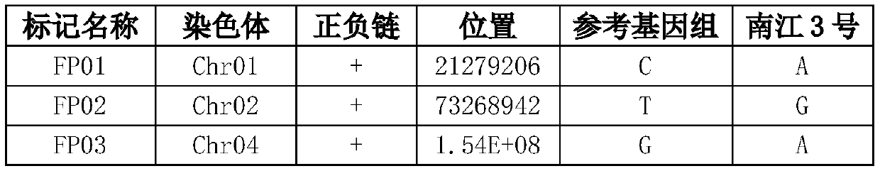 Primer combination and kit for identifying flue-cured tobacco Nanjiang No. 3, application and detection method