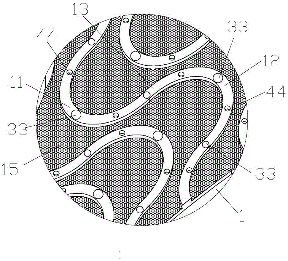 A magnetic health insole