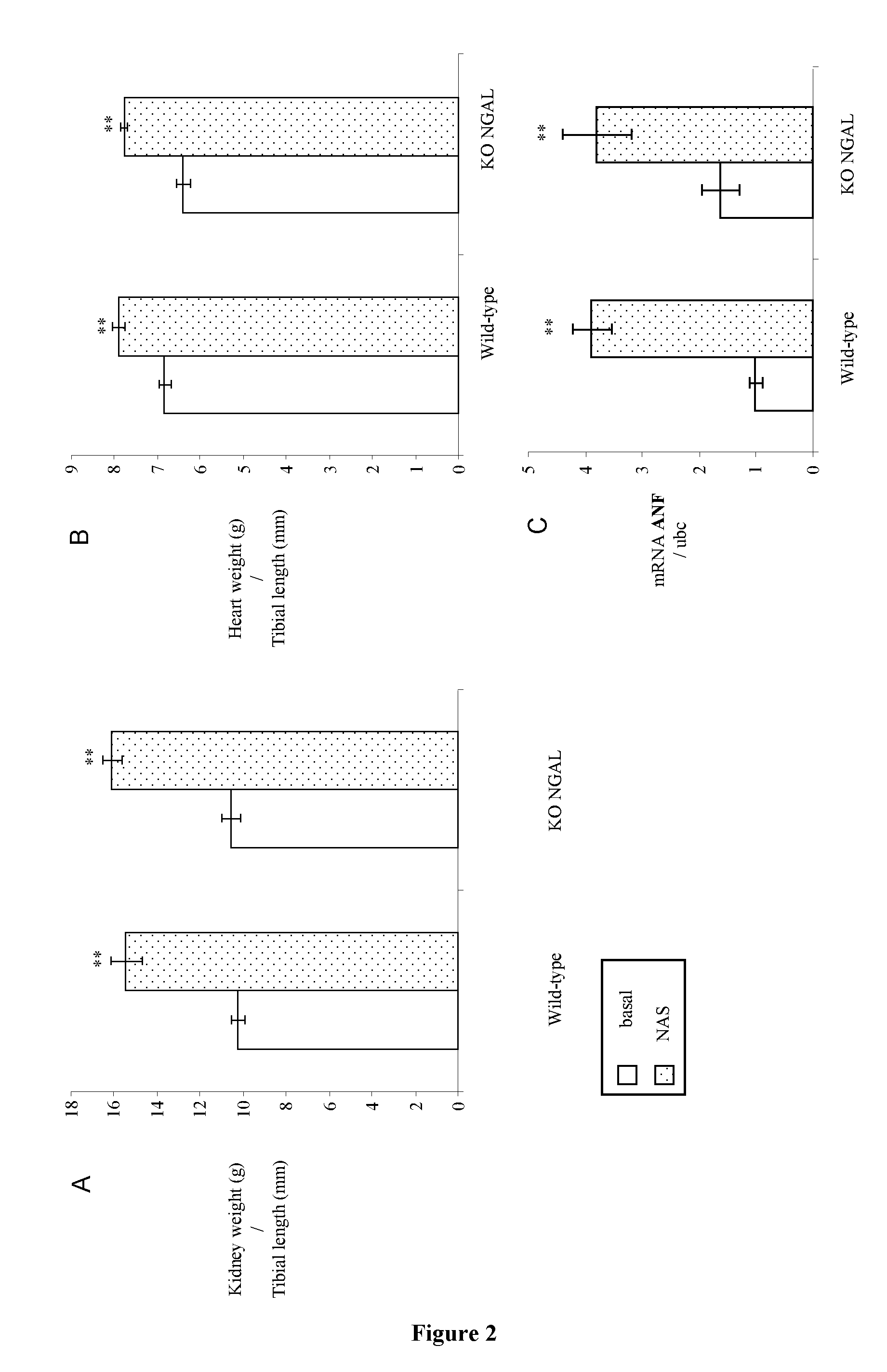 Methods for the treatment of heart failure