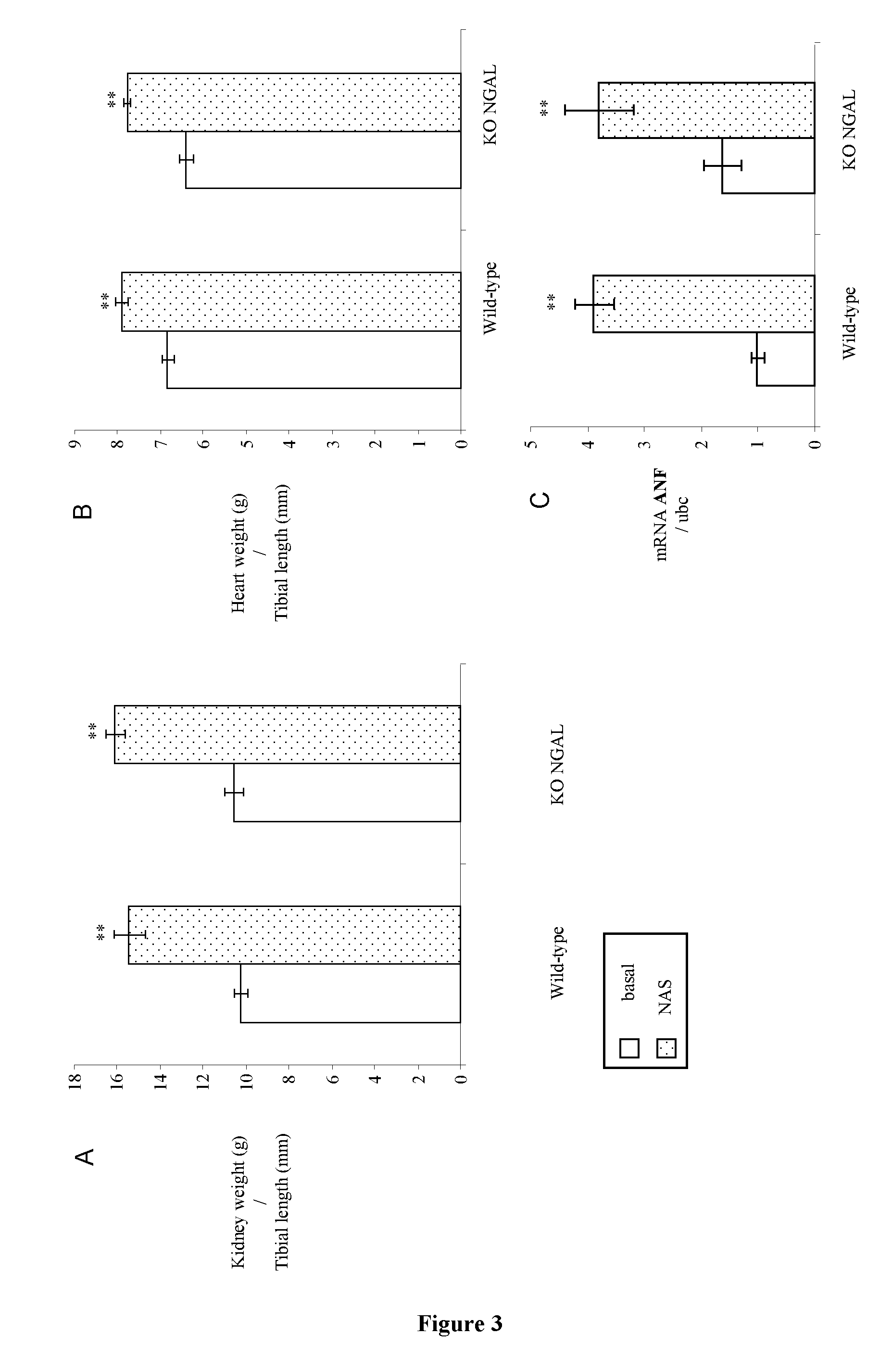 Methods for the treatment of heart failure