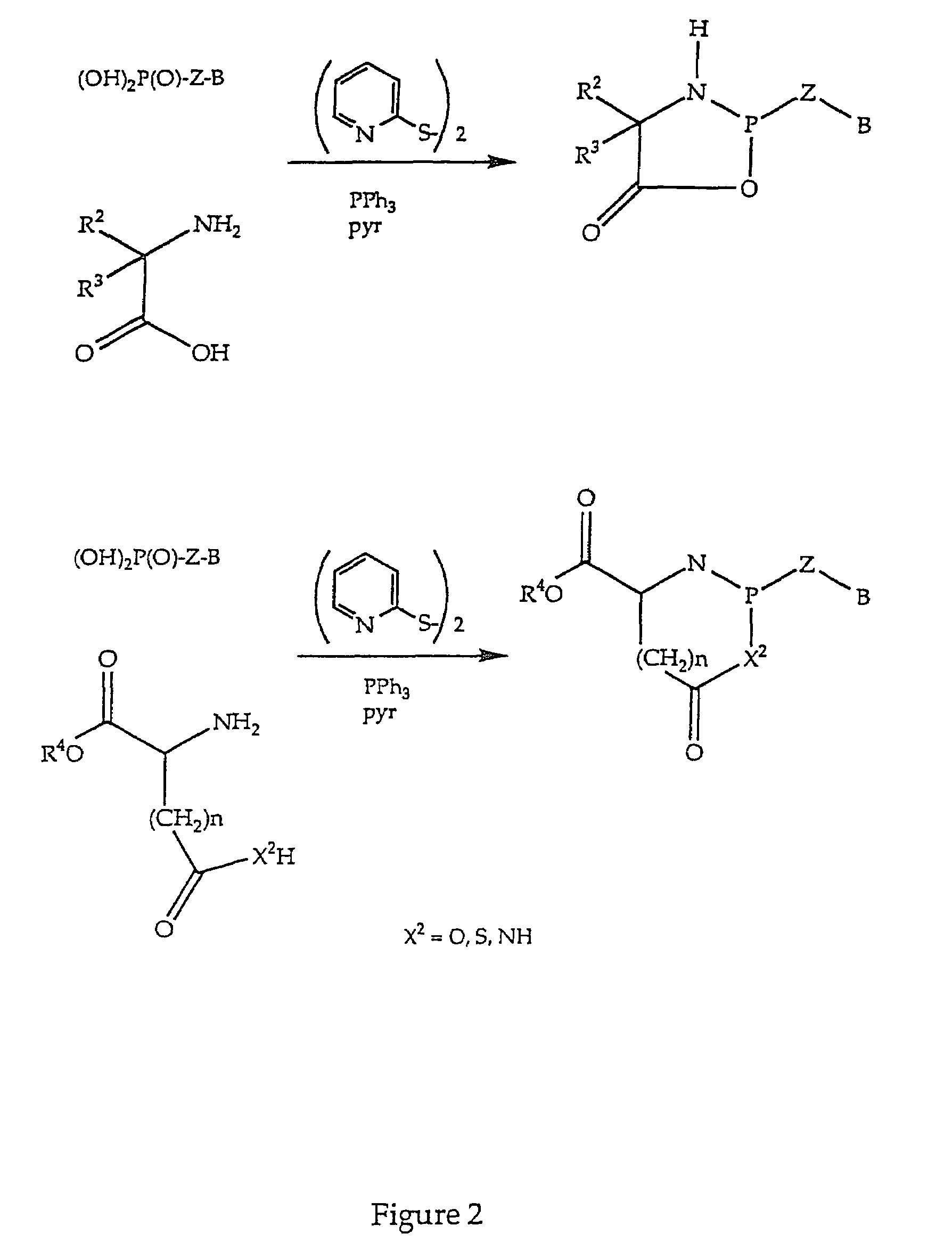 Nucleotide analogs