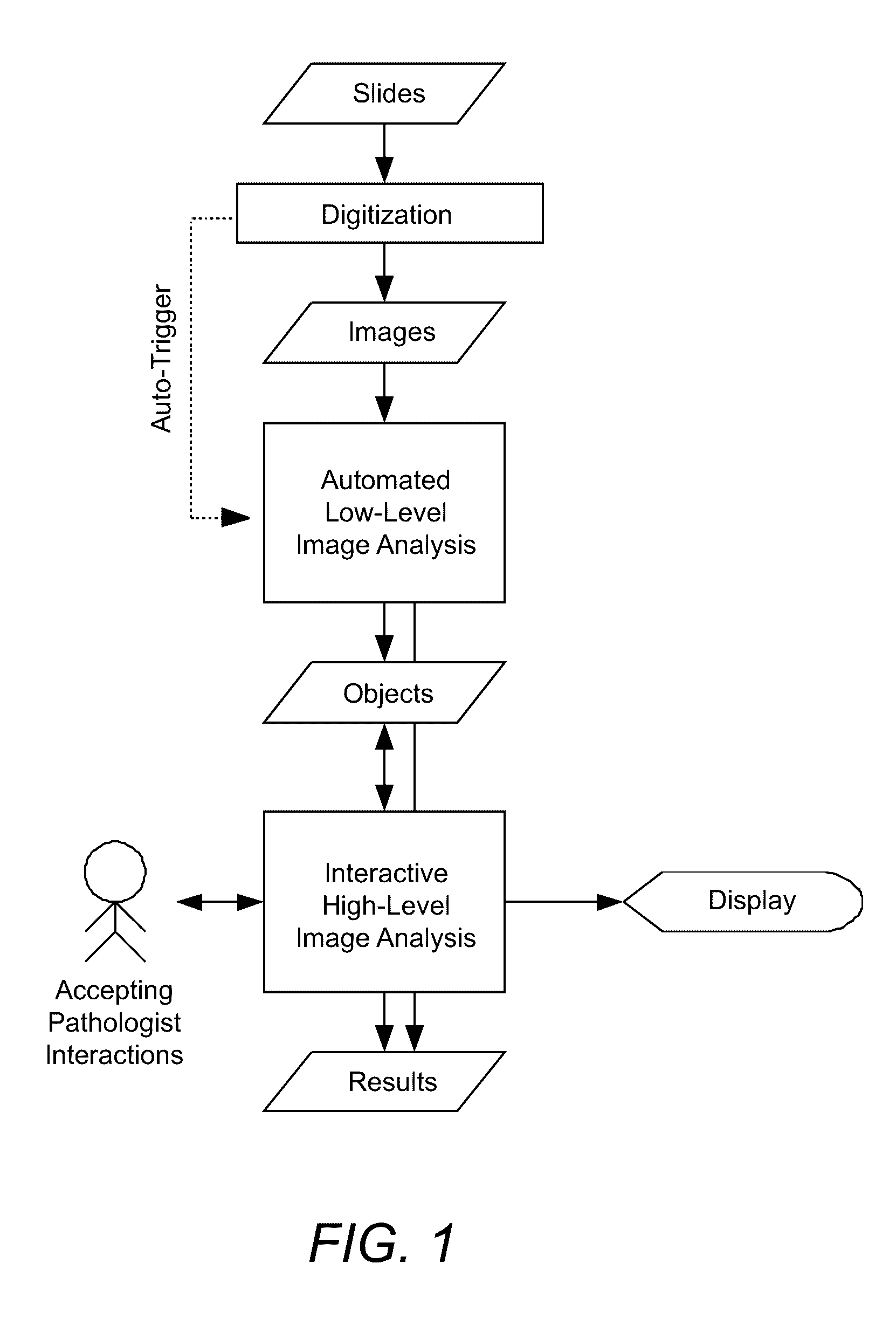 Systems and methods for interactive image analysis of digital pathology images