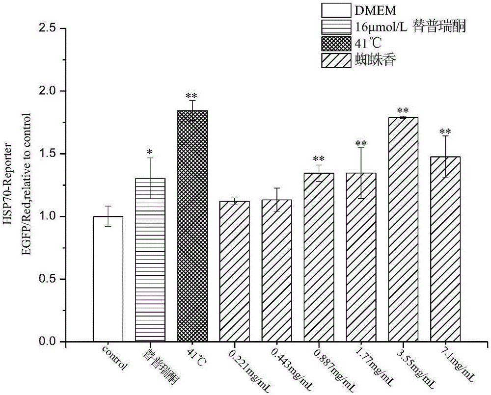 Application of valeriana jatamansi jones extract in preparing HSP70 activating drug