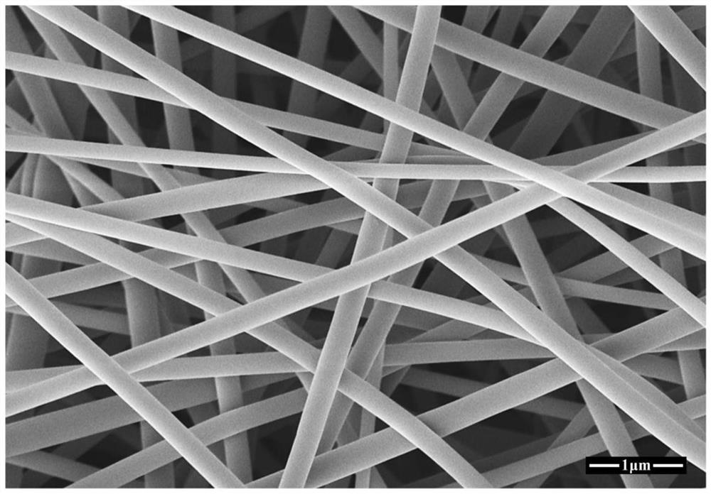 Self-supporting MgTiO3 nanofiber chemical warfare agent degradable material and preparation method thereof