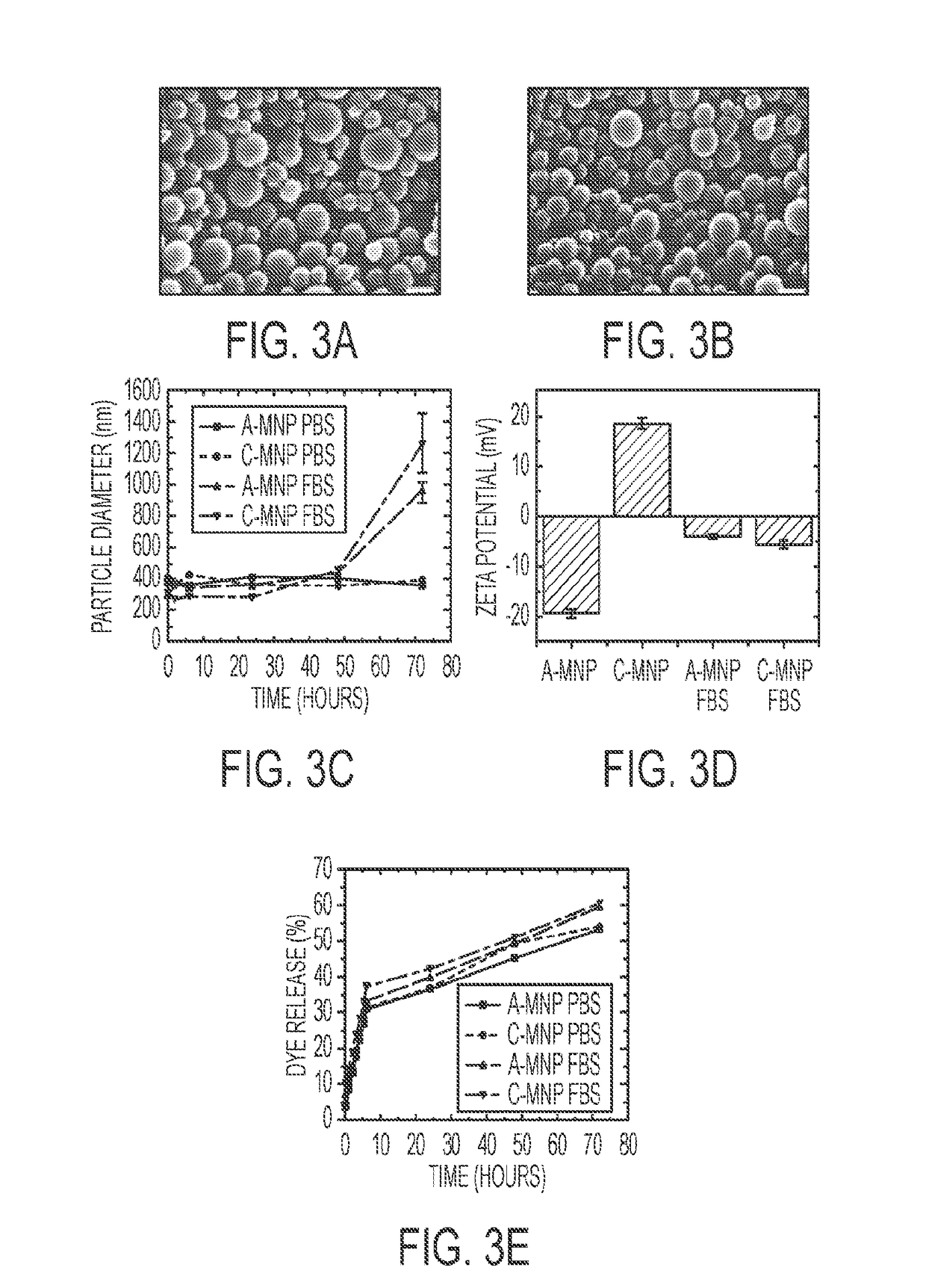 Mesoscale nanoparticles for selective targeting to the kidney and methods of their therapeutic use