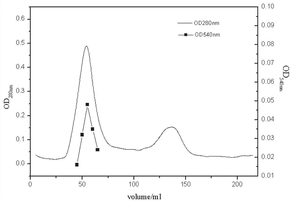 Bacterial strain capable of secreting cellulase as well as cellulase extraction method and application thereof