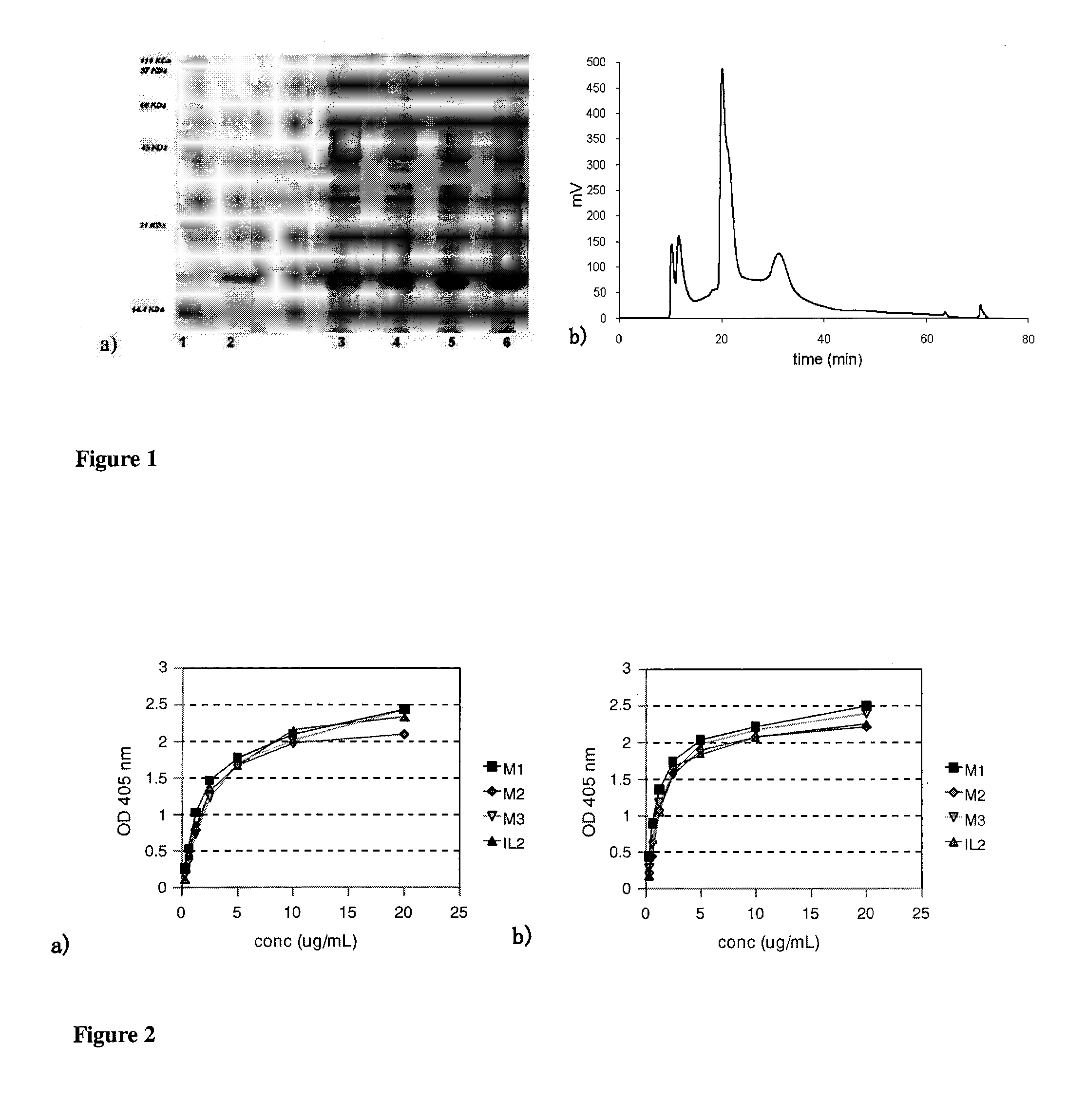 Immunomodulator polypeptides derived from il-2 and their use thereof in the therapeutic of cancer and chronic infections