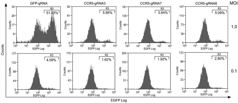 CRISPR (clustered regularly interspaced short palindromic repeat)/Cas9 Recombinant lentiviral vector containing gRNA sequence specifically targeting CCR5 and application thereof