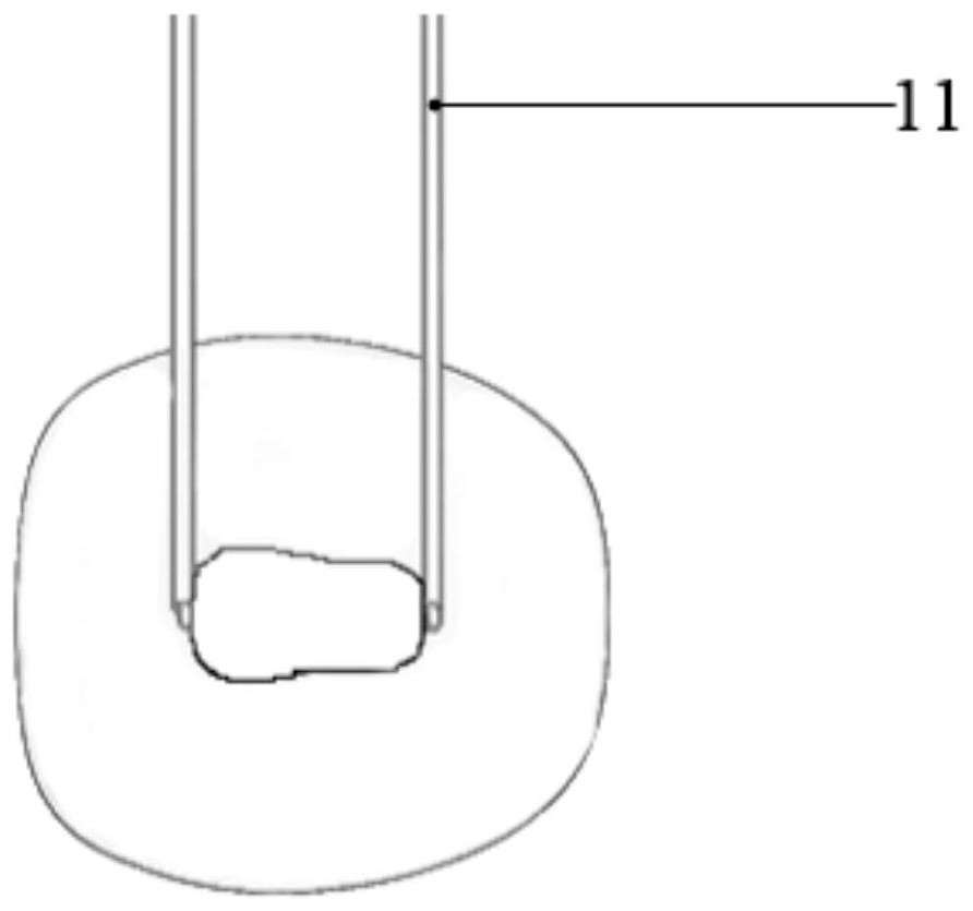 Cell irreversible electroporation device and cell irreversible electroporation method