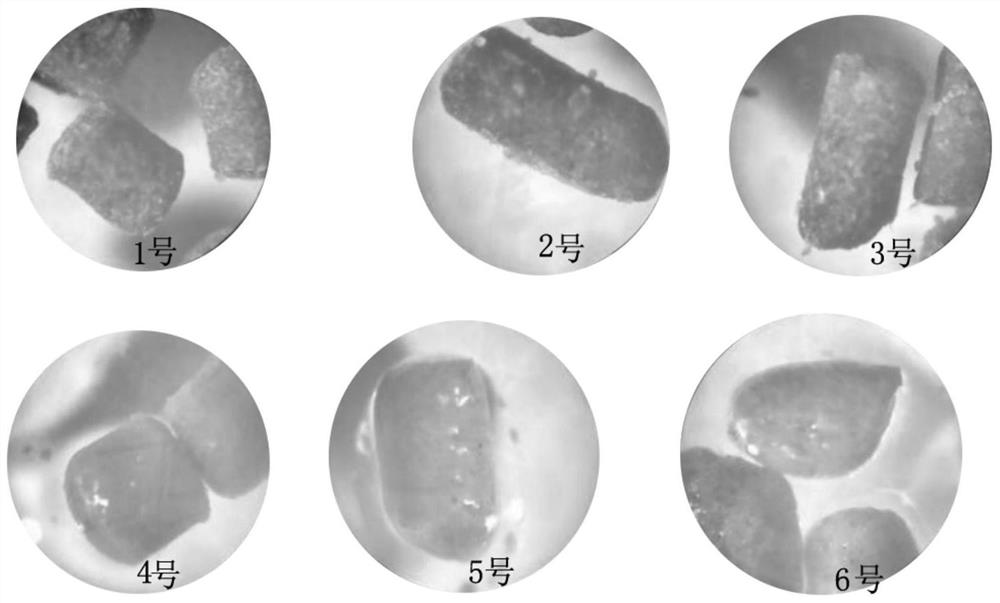 Soft granular feed and preparation method and application thereof