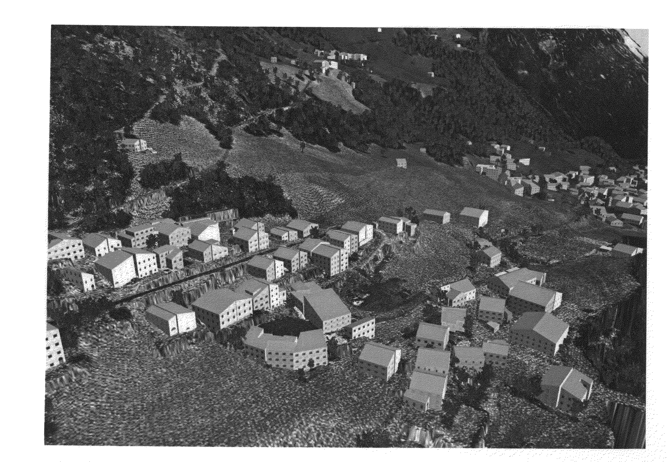 Apparatus and method for automatic airborne LiDAR data processing and mapping using data obtained thereby