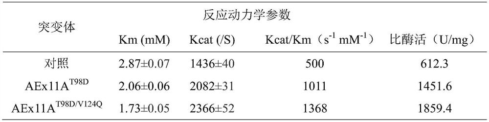 A xylanase mutant with improved catalytic efficiency