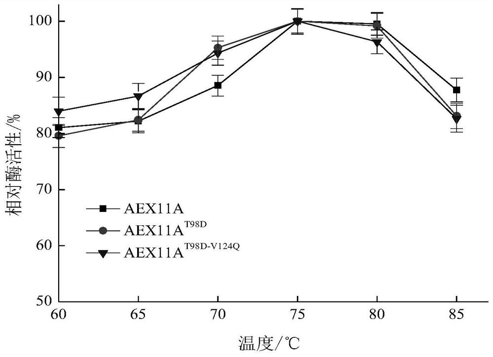 A xylanase mutant with improved catalytic efficiency